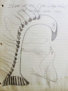 drawing
